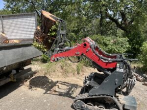 Abattage par démontage d’un pin d’Alep sur Restanque – commune de la Roque d’Antheron